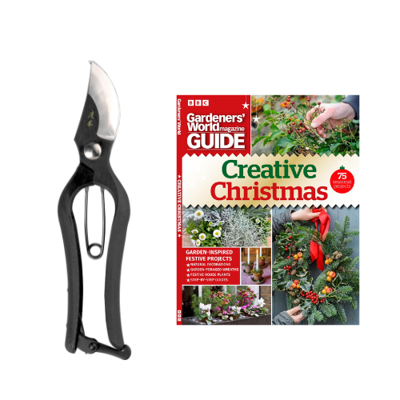 Xmas2023 bundle